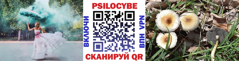 Галлюциногенные грибы Cubensis  купить  цена  Беломорск 