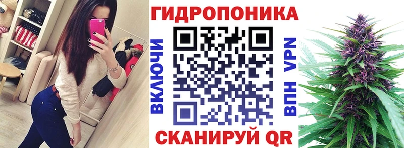 где купить наркоту  omg онион  Конопля конопля  Беломорск 